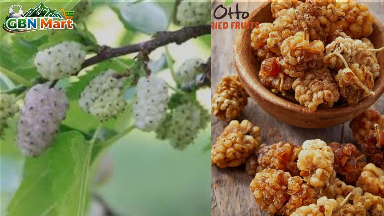 Dry Mulberry (Shahtoot): A Naturally Sweet Superfruit from Gilgit-Baltistan
